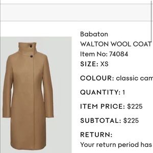 COPY - Aritzia Babaton Walton Wool coat